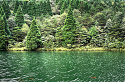 Blick über den Ou–Fluss auf die gegenüberliegende Böschung. Fluss und Vegetation zeigen die intensiven Grüntöne des subtropischen Zhejiang.