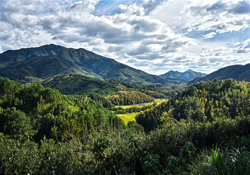 Ein Tal in Zhejiang: rings bewaldete Hügel in tiefen Grüntönen, üppige Vegetation, in der Talsohle Felder. Die typische Landschaft Zhejiangs.